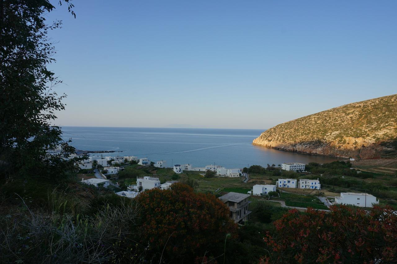 Adonis Hotel Naxos Apollon  Eksteriør bilde